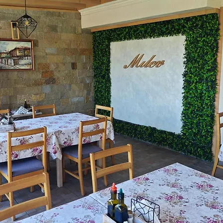Hotell Family Milev