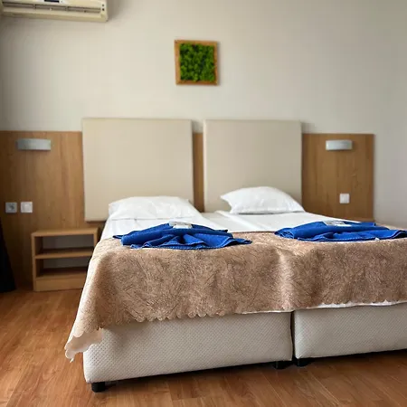 Hotel Family Milev 2*